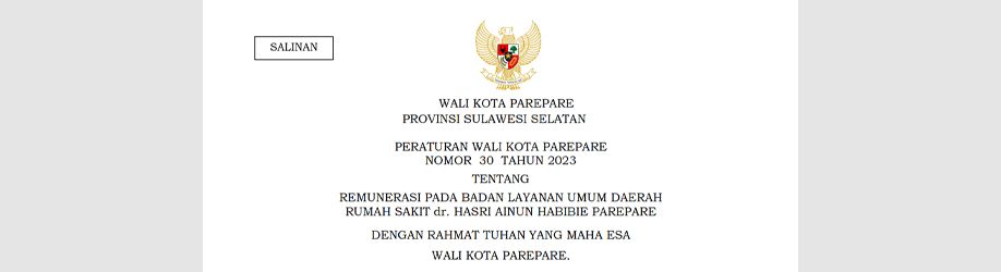 Peraturan Wali Kota Parepare Nomor 30 Tahun 2023 tentang Remunerasi pada Badan Layanan Umum Daerah Rumah Sakit dr. Hasri Ainun Habibie Parepare